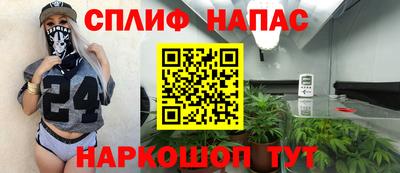 прущие крисы Будённовск