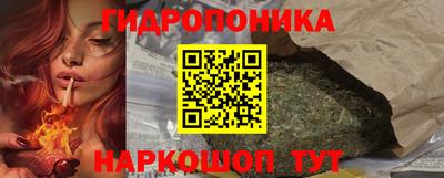 прущие крисы Будённовск