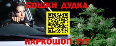 прущие крисы Будённовск