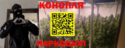 эйфоретик Бузулук