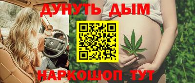 прущие крисы Будённовск