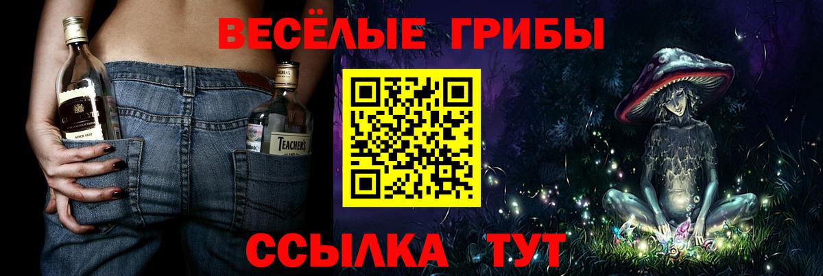 Псилоцибиновые грибы мухоморы Трёхгорный