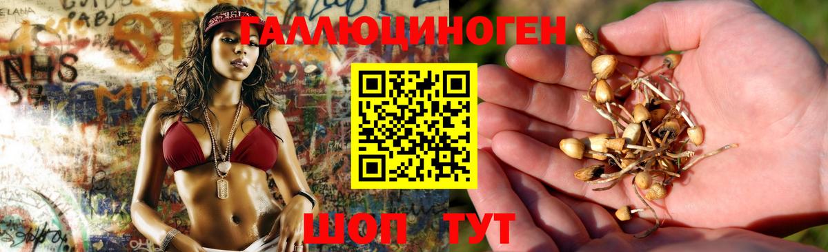 Трёхгорный  Псилоцибиновые грибы Psilocybine cubensis  Вход с VPN 